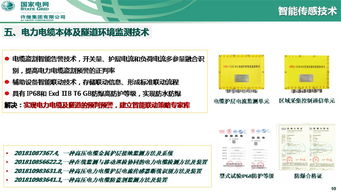 泛在電力物聯(lián)網(wǎng)下智能傳感與人工智能技術研究及應用——以許繼集團翟登輝會議報告為核心